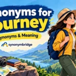 synonyms for journey