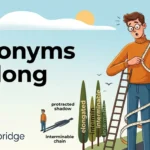 synonyms for long